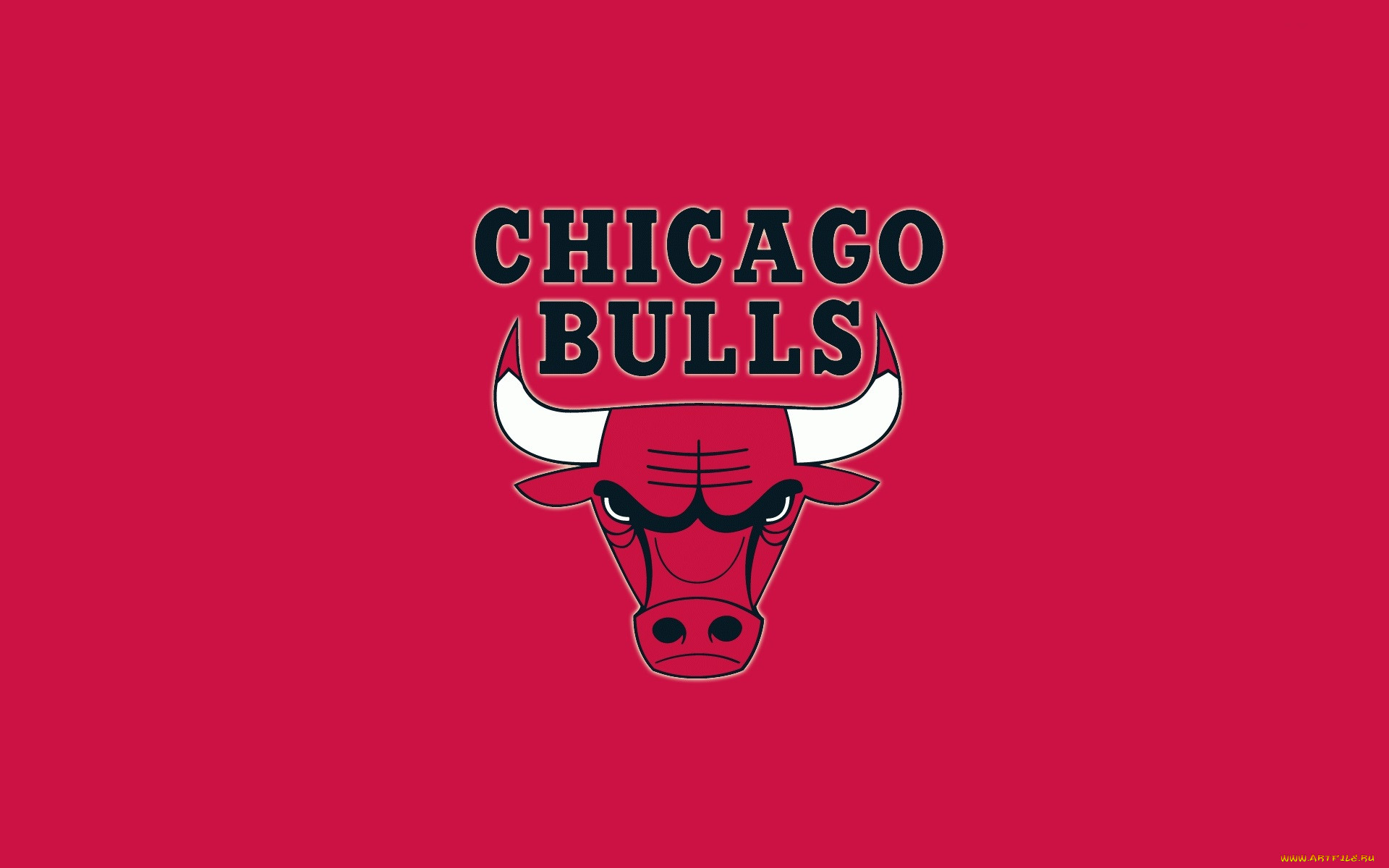,  , , , , chicago, bulls